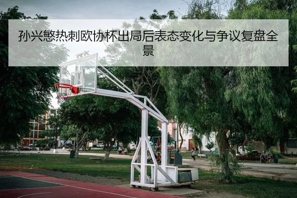 孙兴慜热刺欧协杯出局后表态变化与争议复盘全景